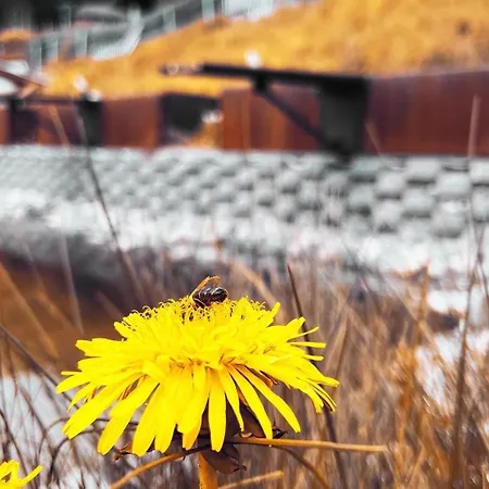 Garni Alpendiamant 4* Fiss