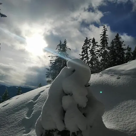 Garni Alpendiamant Отель 4*