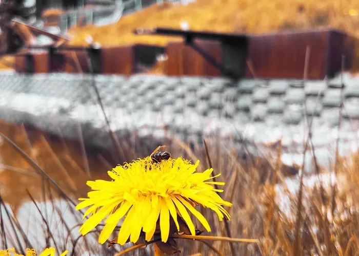 Garni Alpendiamant 4* فس